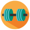 logo crossfitsandiego
